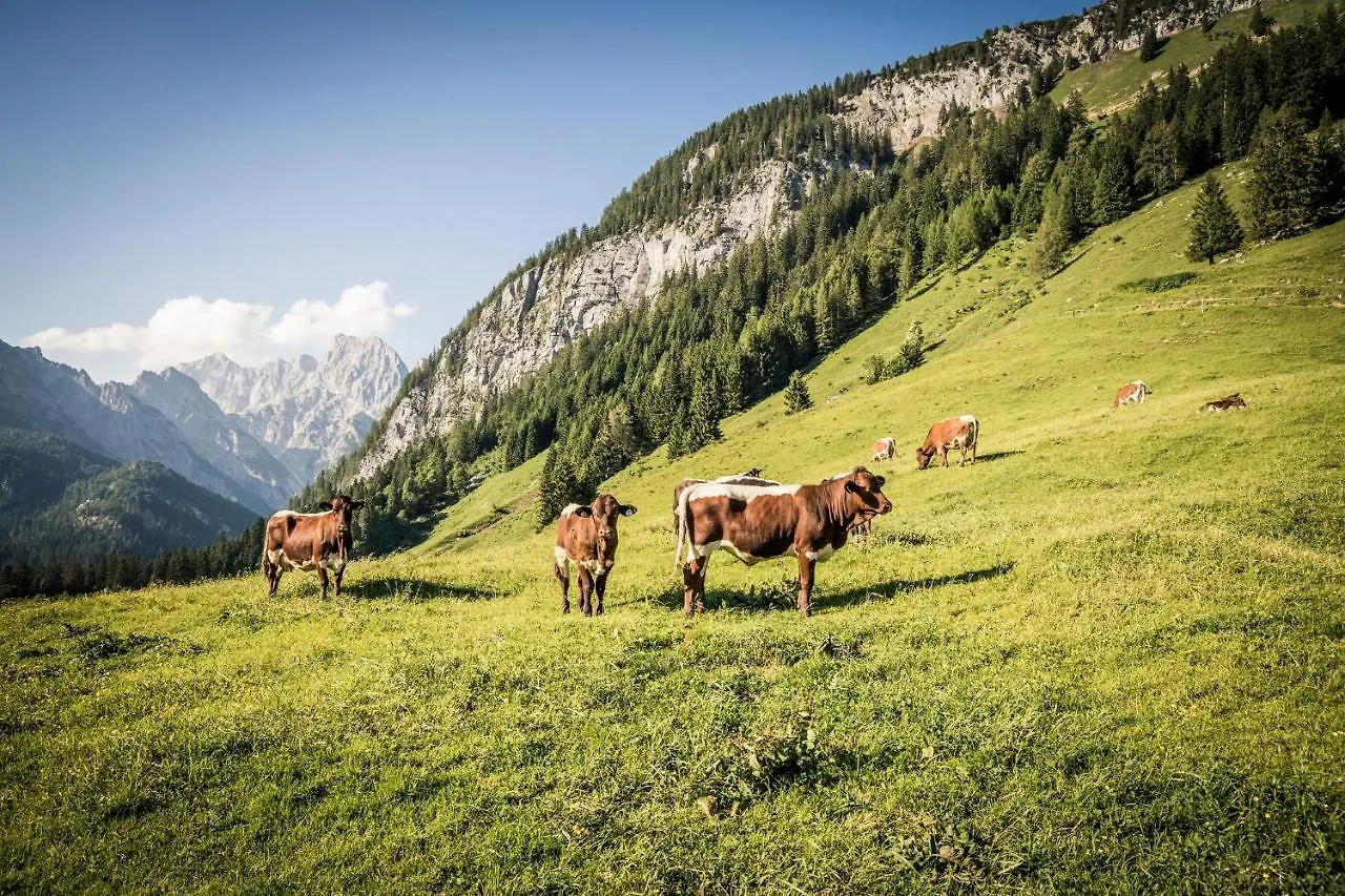 Ferienwohnung Waldblick - Freundlich Eingerichtete Ferienwohnung Berchtesgaden 0*,  Duitsland